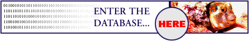 Access REEF's Database