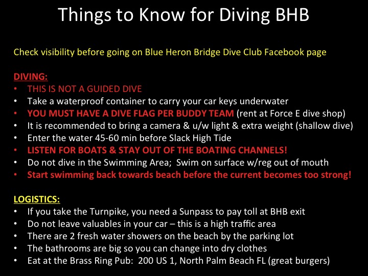 Blue Heron Bridge Shore Dive Reef Environmental Education Foundation