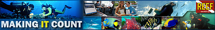 REEF Enews Banner