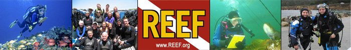 REEF Enews Banner