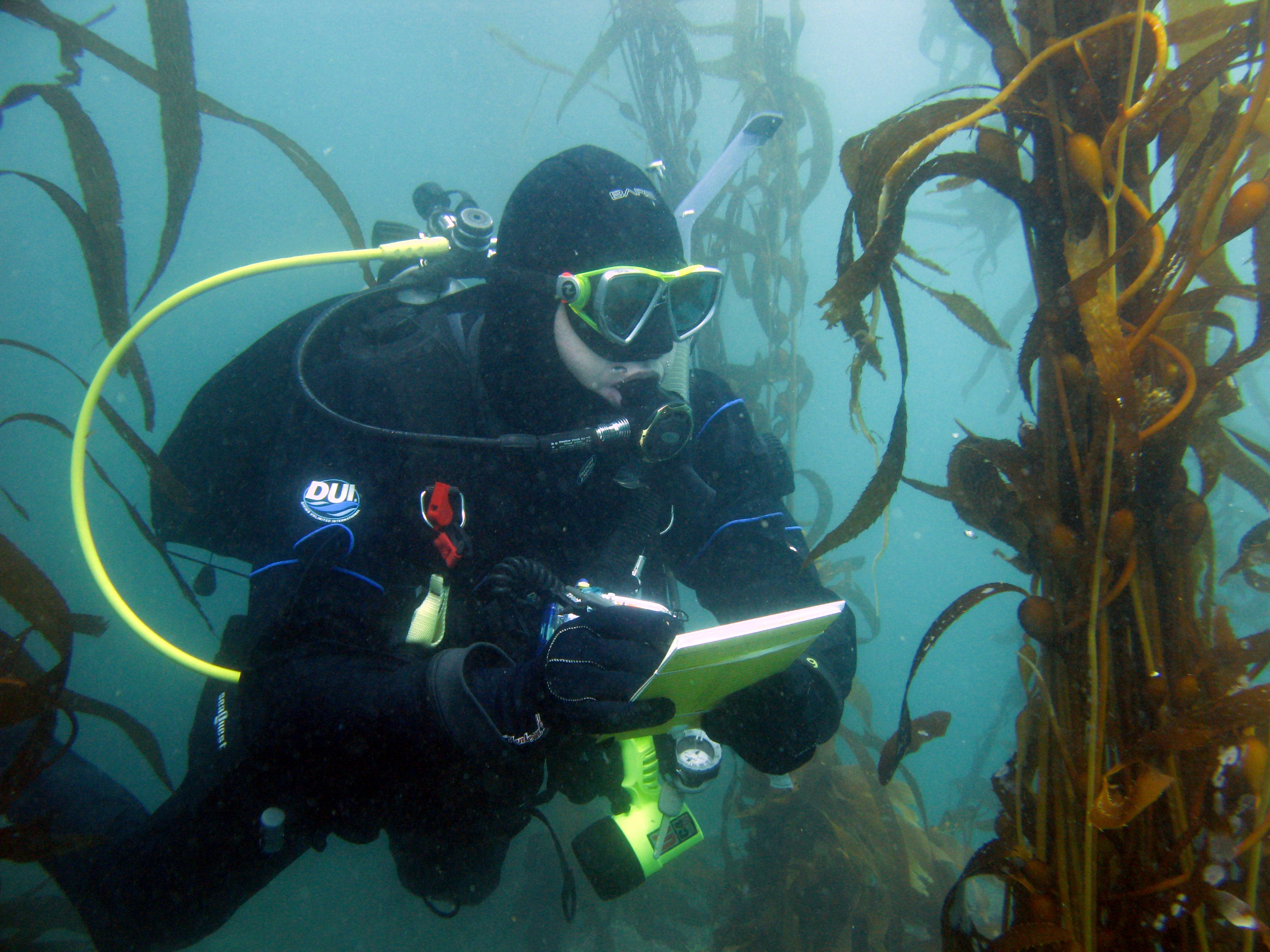 Making It Count - July/August 2013 | Reef Environmental Education ...