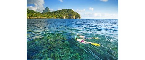 St. Lucia Field Survey Trip | Reef Environmental Education Foundation