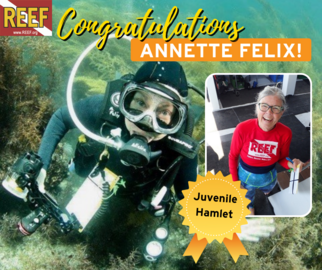 Annette Felix - Juvenile Hamlet Award