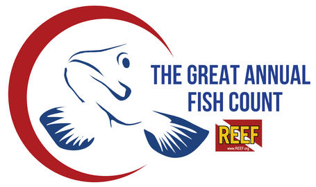 Great Annual Fish Count Logo